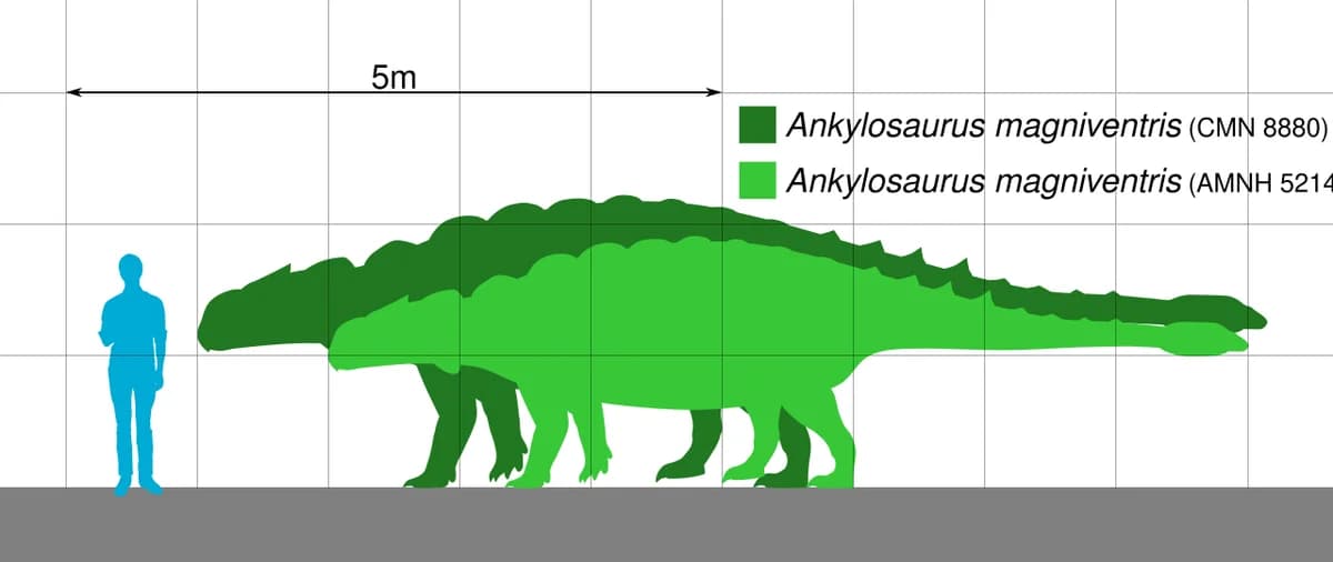 Ankylosaurus Scale V2