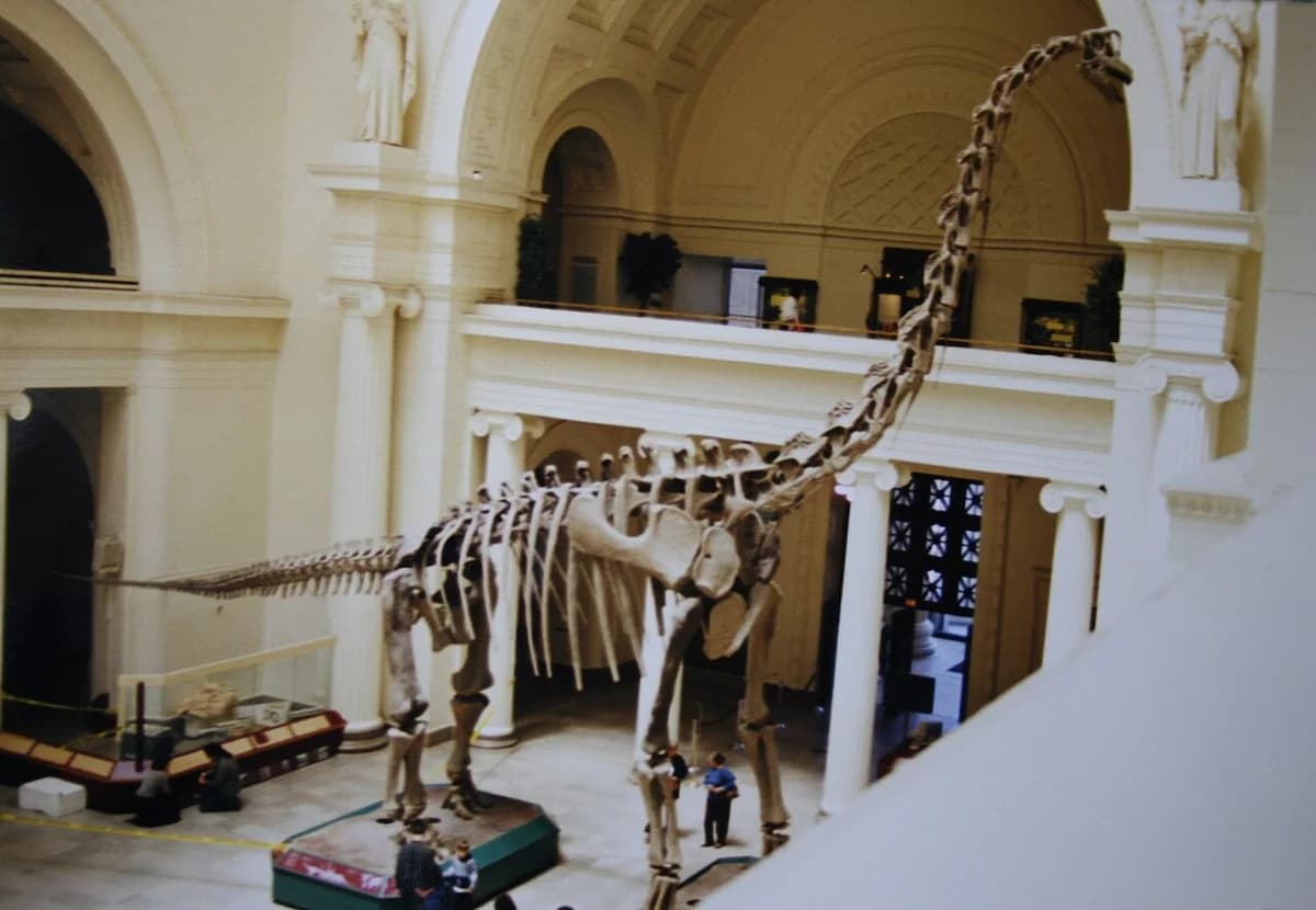 Brachiosaurus inside Field Museum
