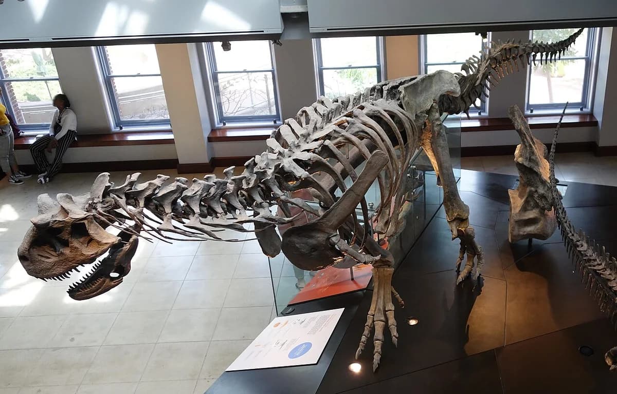 Carnotaurus Los Angeles County Museum 15