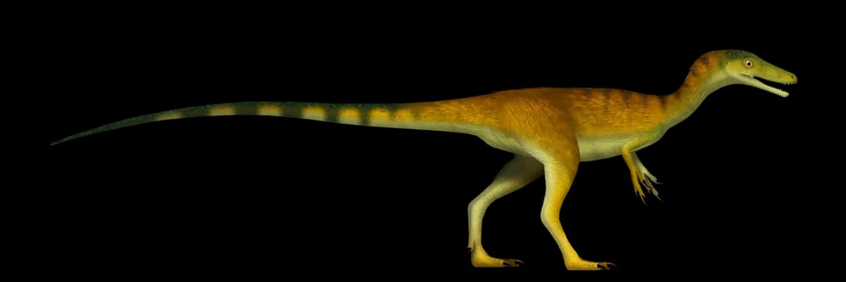 Compsognathus TD