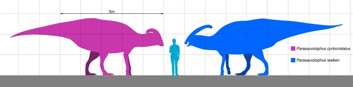 Parasaurolophus Scale