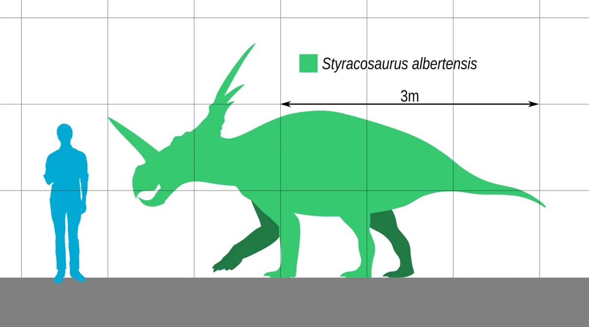 Styracosaurus Scale