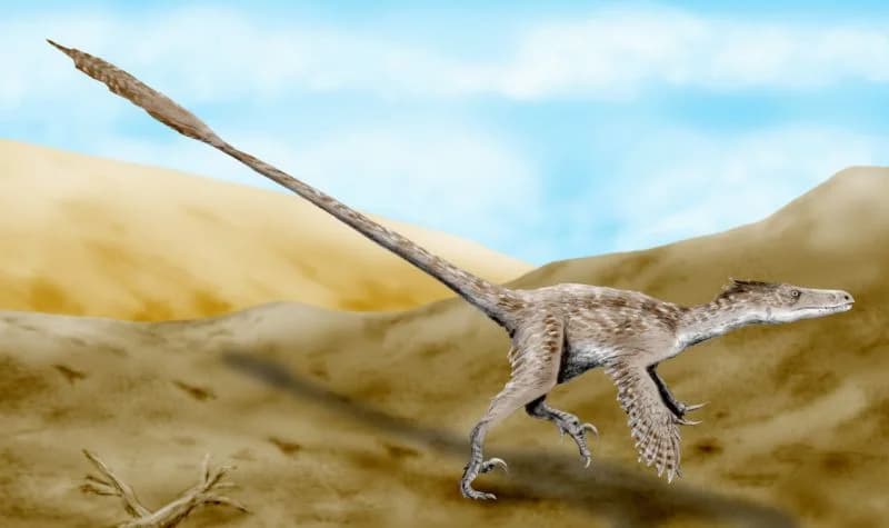 Velociraptor mongoliensis