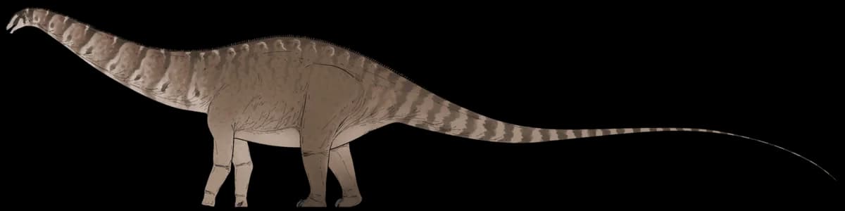 Apatosaurus louisae