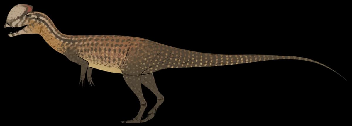 Life reconstruction of Dilophosaurus wetherilli