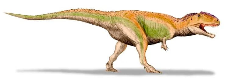 Giganotosaurus BW