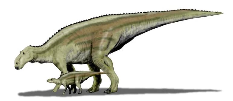 Maiasaura BW