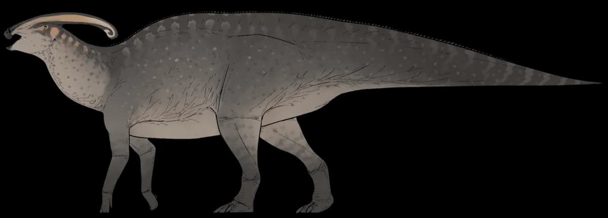 Life reconstruction of Parasaurolophus walkeri
