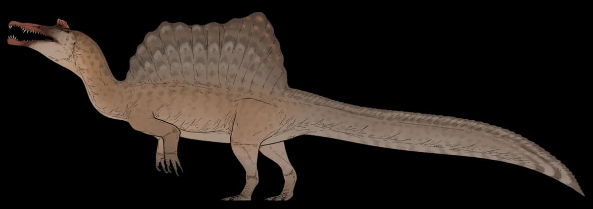 Spinosaurus aegyptiacus life reconstruction
